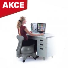 bc0110-akce